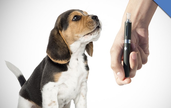 Vaping Impacts your Pets